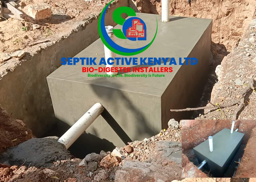 project images