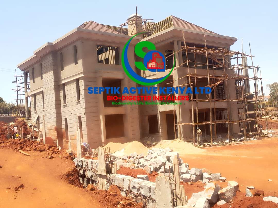 project images